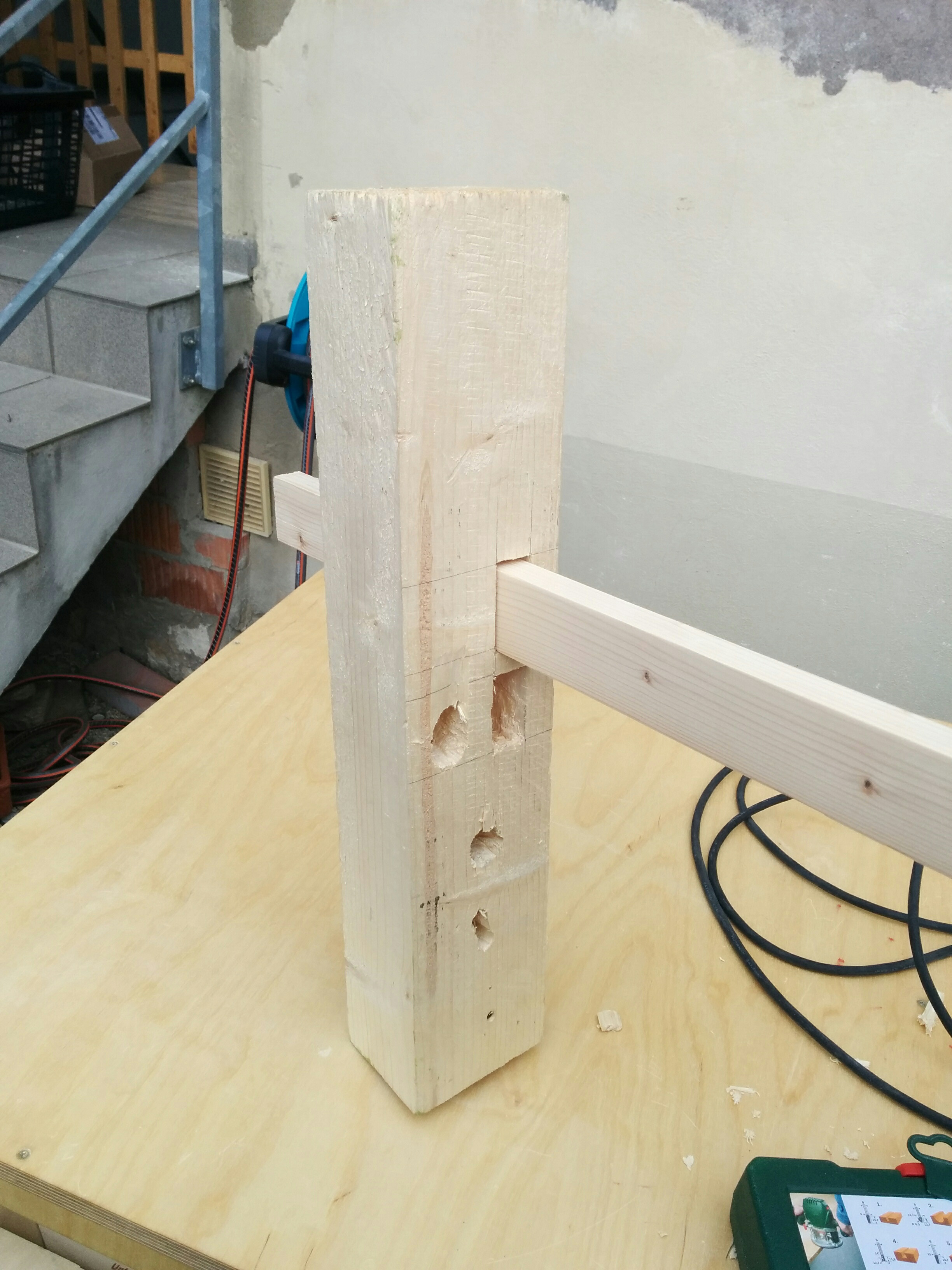 20160511 Gartenzaun 010